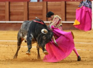 José Antonio Lavado, único malagueño anunciado este 15 de agosto