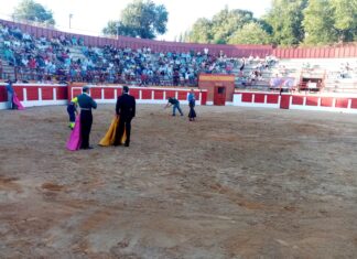 Vuelta al ruedo tras petición para Ferrer Martín en Simancas