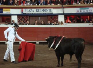 Javier Conde, en el Festival de Leyendas del Toreo de Cali