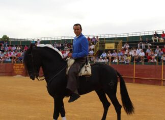 Gran triunfo de Ferrer Martín en Cantalapiedra, con cuatro orejas y un rabo