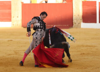 Finito de Córdoba causa baja hoy en Navaluenga, pero estará mañana en Antequera