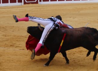 Javier Orozco, herido en el toro de su alternativa