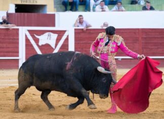 Seria corrida de Martín Lorca en Navalmorales