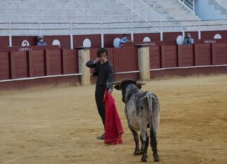 Un octubre cargado de oportunidades para la Escuela de la Diputación de Málaga