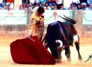 Javier Orozco se despide de novillero en Laguna de Duero antes de tomar la alternativa en Antequera