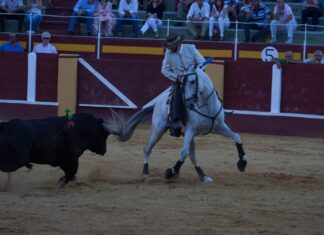 Mancebo vuelve tras recuperarse de un percance
