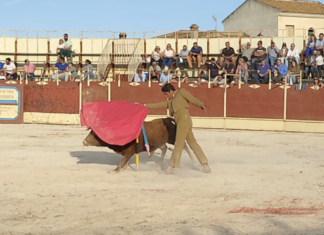 Pleno de triunfos en el Festival de Villanueva del Rosario