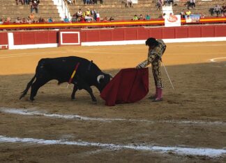 Julio Alguiar, una oreja tras pinchar ante un buen novillo en Andújar