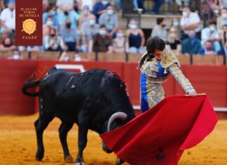 Ignacio Candelas, oreja en el cierre de temporada en la Maestranza de Sevilla