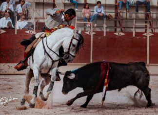 El festival de Villanueva del Rosario, en imágenes (Galería de Eloy Peláez)