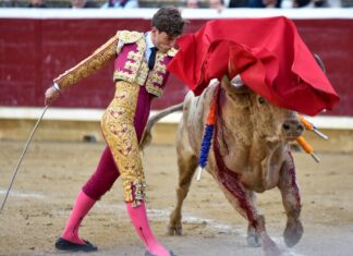 Javier Orozco, con la complicada corrida de Prieto de la Cal en Tafalla (Galería de imágenes)