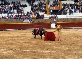 Joaquín Galdós y Román, a hombros en Cajabamba