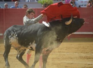 Fernando Rey, este sábado en Gerena