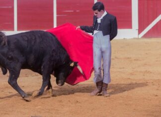 Lavado, invitado a un tentadero por el Club Taurino de Nimes
