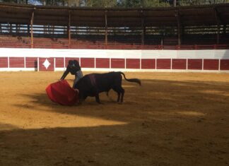 José Antonio Lavado causa buena impresión en Brocas (Francia)