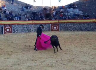 Oreja para El Moli de Ronda y vuelta al ruedo de Javier Conde en el Festival de Villaluenga del Rosario