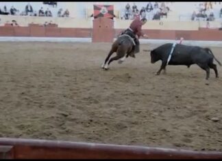 Gran triunfo de Ferrer Martín en su presentación en Portugal