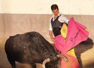 Una tarde con David Galván en la ganadería de Manuel Blázquez (galería de David Bracho)