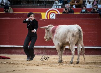 Julio Alguiar se tira a matar sin muleta en Valencia y termina en la enfermería