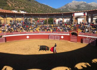 Habrá toros en diciembre en la provincia de Málaga
