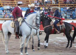 Ferrer Martín, dos vueltas al ruedo en la alternativa de Joaquín Gallo en Puebla (México)