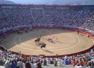Cali espera a Javier Conde con el recuerdo de su indulto de 1998