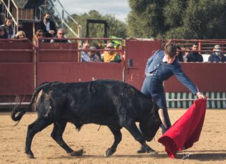 La temporada no ha terminado en la provincia de Málaga
