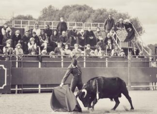 Fernando Rey en el festival campero de Gerena (galería de Sara Navarro)