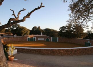 Turismo Costa del Sol presenta su oferta de viajes a agencias internacionales desde Reservatauro