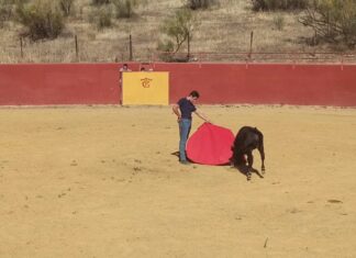 Fin de semana de Bolsines para la Escuela de Antequera