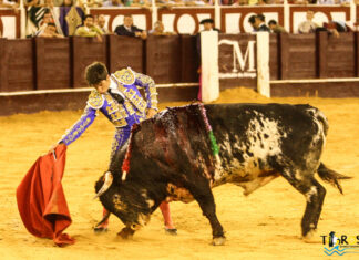 Novilleros malagueños aspiran a entrar en el Circuito de Andalucía