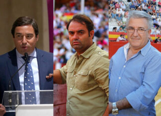 La mesa de contratación valida las tres empresas presentadas al concurso de La Malagueta