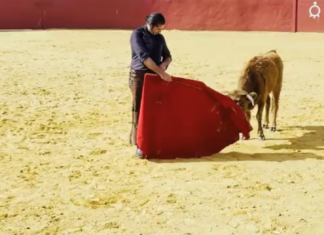 Javier Conde y el don de la magia de la creatividad