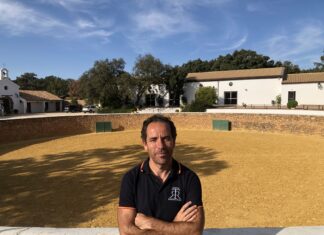 Reservatauro, Bandera de Andalucía al Mérito Medioambiental Tejada