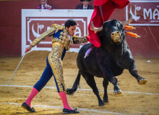 Así fue la gran corrida de Manuel Blázquez en Guillena (galería de Antonio Sánchez ‘Yuste’)