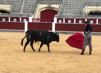 Antonio Arias, oreja en su presentación en público en Albacete