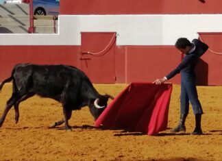El Moli de Ronda inicia su lucha por el Bolsín de Candeleda