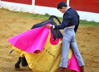 Lavado estoquea un toro en la ganadería francesa Olivier Riboulet (vídeo)