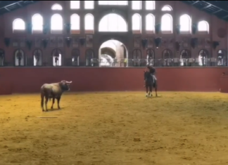 Ferrer Martín, provechosa jornada de preparación en casa de Fermín Bohórquez