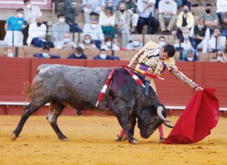 La Peña Taurina de Cártama prepara una excursión para los ‘Victorinos’ en Sevilla