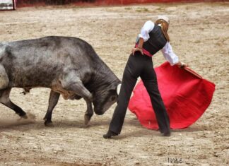 Maripaz Vega no pudo entrar en acción este sábado en México