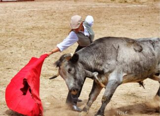 Maripaz Vega no descuida la preparación