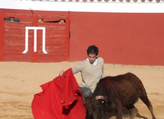 Fortes vuelve a sentir