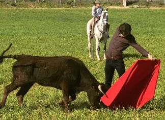 Santana Claros se gana su puesto en la novillada de esta tarde en Garlin