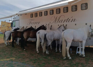 Ferrer Martín corta una oreja en La Garrovilla (Badajoz)