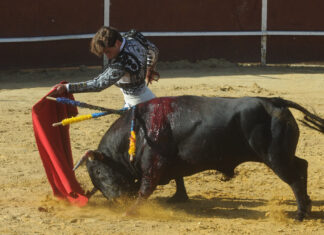 Accidentada encerrona de Javier Orozco en Ronda Romántica