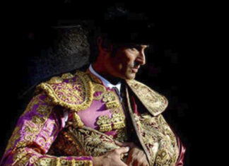 Fernando Cámara vuelve a hacer el paseíllo en un festival en Alpedrete (Madrid)