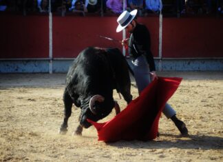 Javier Conde hará el paseíllo en Guijuelo antes de vestirse de goyesco en Antequera
