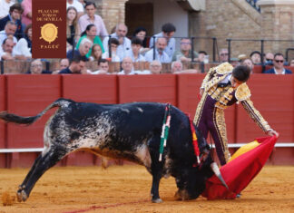 Pablo Páez se tiene que conformar con una ovación en Sevilla