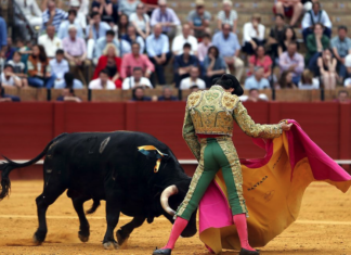 Santana Claros reaparece mañana en Sevilla